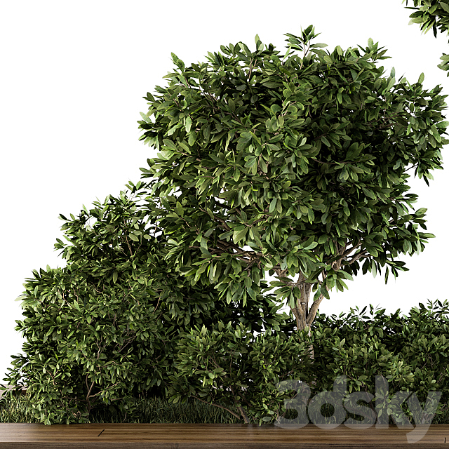 Garden set bush and Tree – Garden Set 07 3DSMax File - thumbnail 3