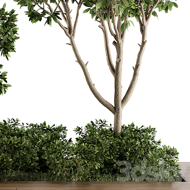 Garden set bush and Tree – Garden Set 07 3DSMax File - thumbnail 4