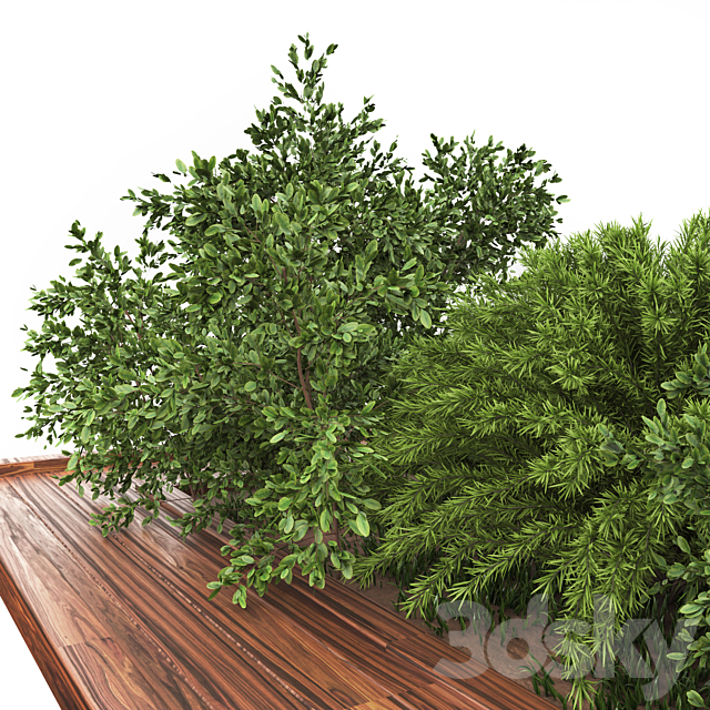 Garden set bush and Tree_Set01 3DS Max Model - thumbnail 2