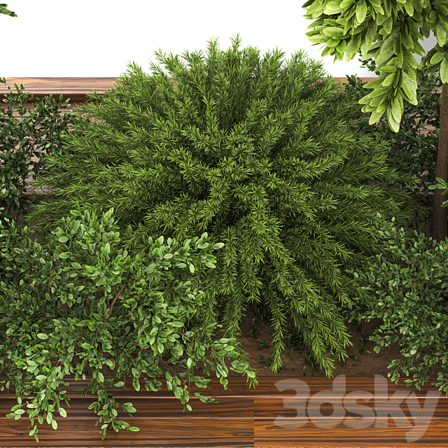 Garden set bush and Tree_Set01 3DS Max Model - thumbnail 3