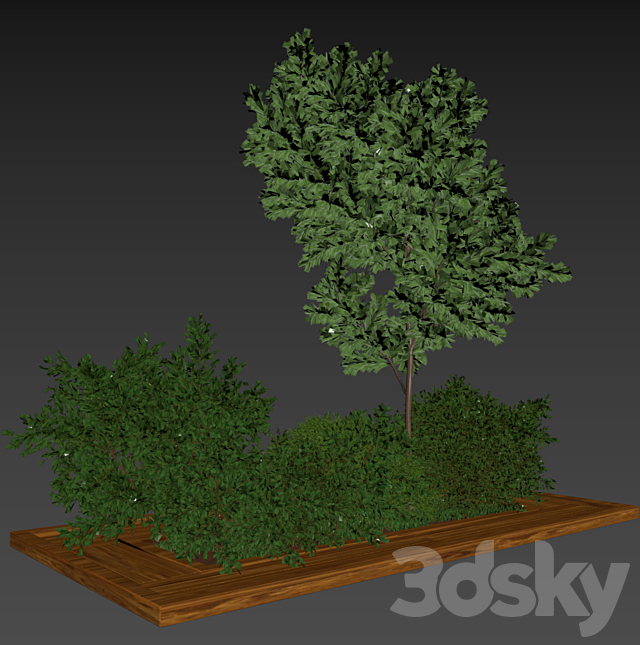 Garden set bush and Tree_Set01 3DS Max Model - thumbnail 5