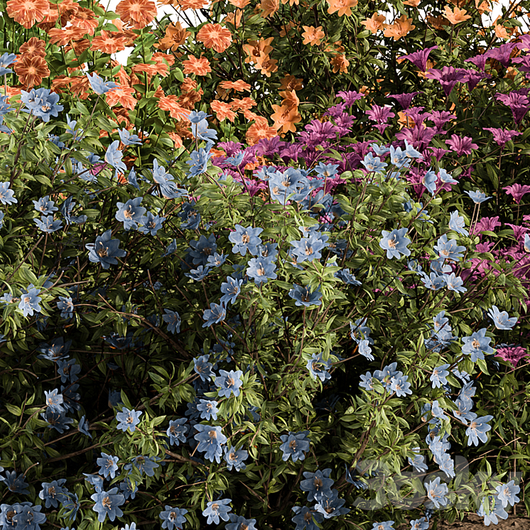 Garden Set colorful Flower Bush – Outdoor Plants Set 424 3DS Max Model - thumbnail 2
