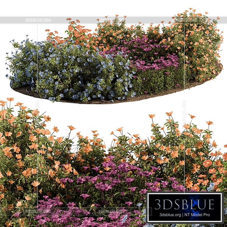 Garden Set colorful Flower Bush – Outdoor Plants Set 424 3DS Max - thumbnail 3