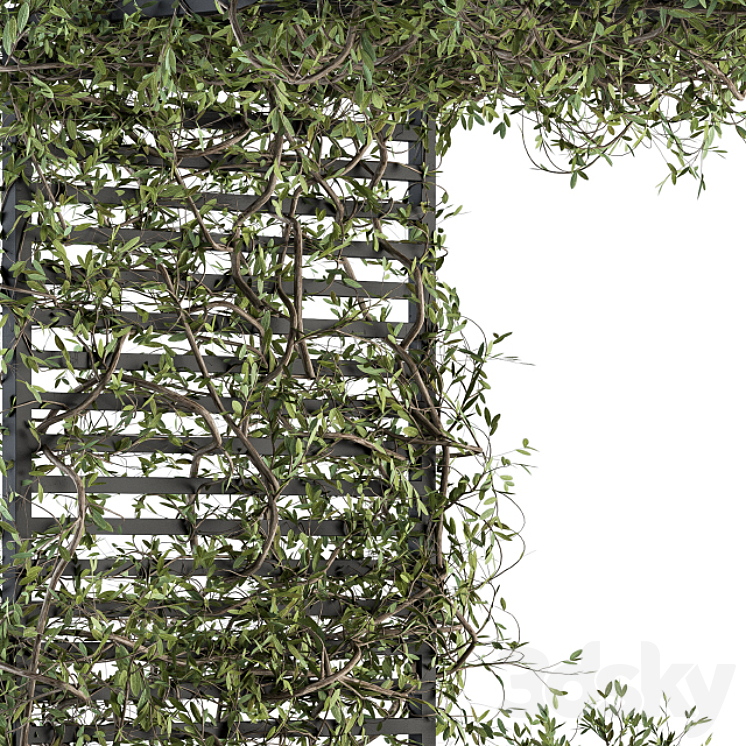 Garden set ivy and Bush – Garden Set 13 3DS Max - thumbnail 2