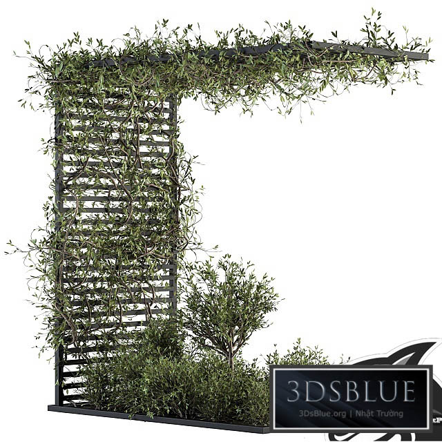 Garden set ivy and Bush – Garden Set 13 3DS Max - thumbnail 3