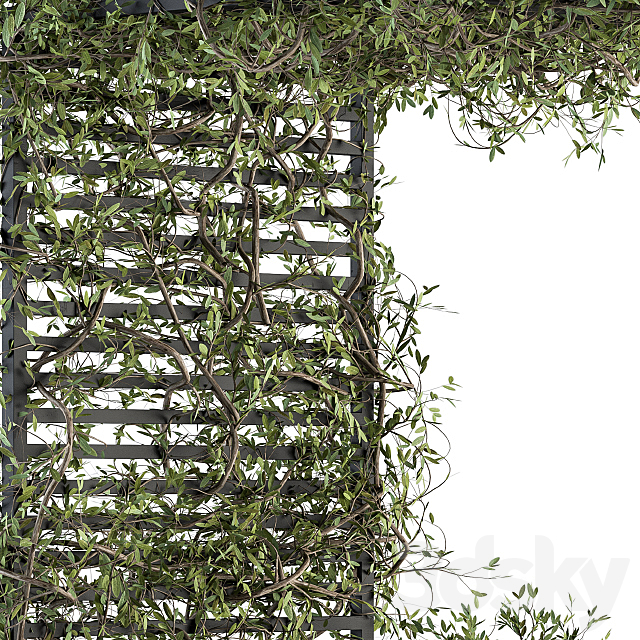 Garden set ivy and Bush – Garden Set 13 3DSMax File - thumbnail 2