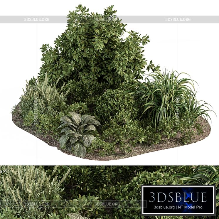 Garden set ivy and Bush – Garden Set 20 3DS Max - thumbnail 3