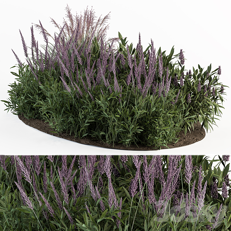 Garden Set Lavender Bush Plants – Outdoor Plants Set 413 3DS Max Model - thumbnail 1