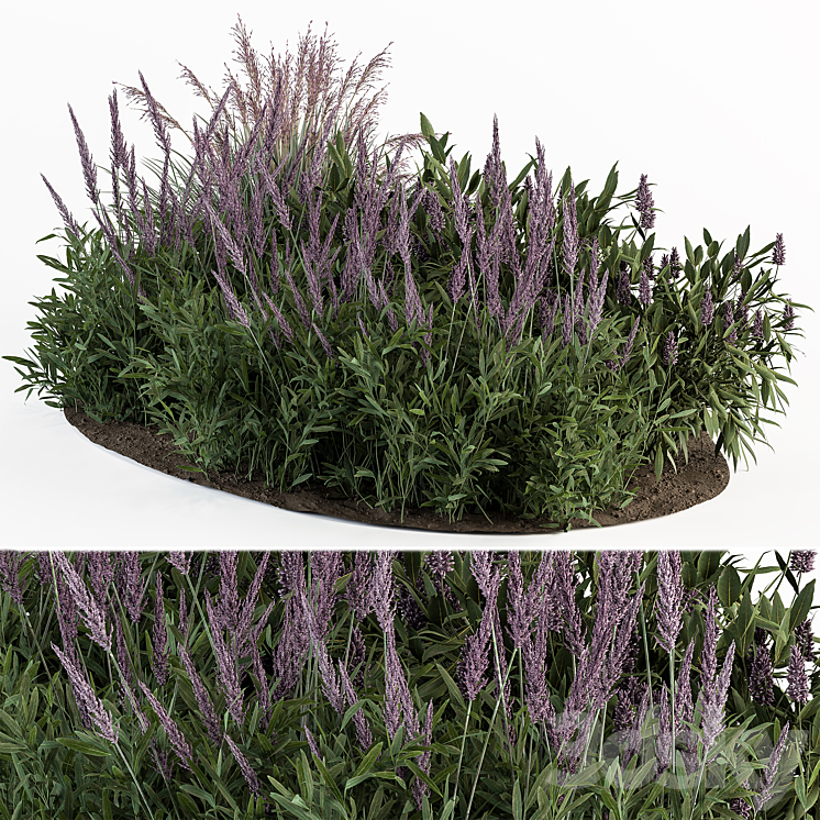 Garden Set Lavender Bush Plants – Outdoor Plants Set 413 3DS Max - thumbnail 1