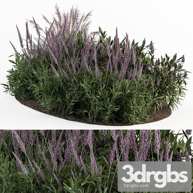 Garden set lavender bush plants – outdoor plants set 413 - thumbnail 1