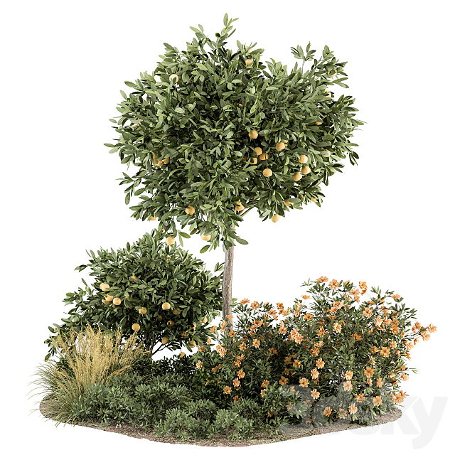 Garden set Lemon tree and Bush – Garden Set 26 3DSMax File - thumbnail 1