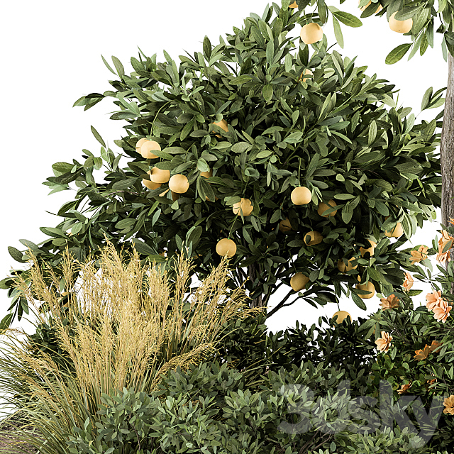 Garden set Lemon tree and Bush – Garden Set 26 3DSMax File - thumbnail 2