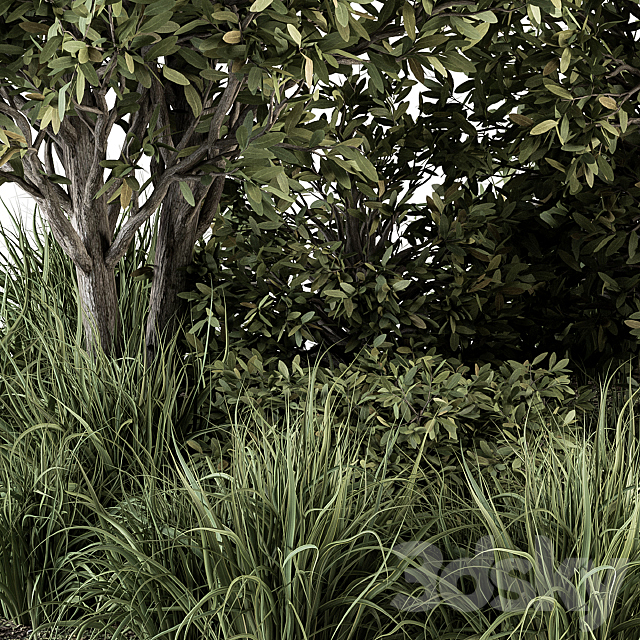 Garden Set Plants – Outdoor Plants Set 307 3ds Max - thumbnail 2