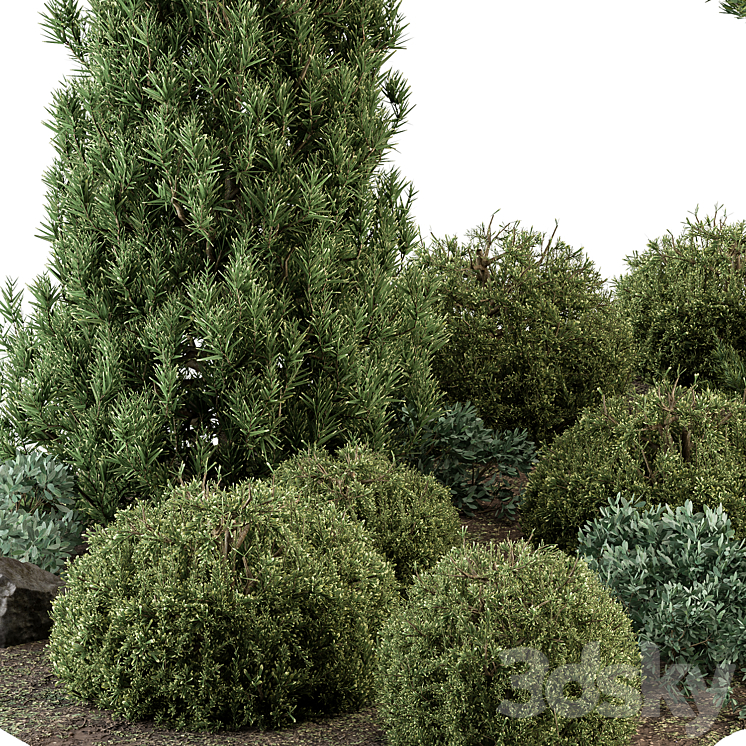 Garden Set Topiary and pine Plants – Outdoor Plants Set 410 3DS Max - thumbnail 2