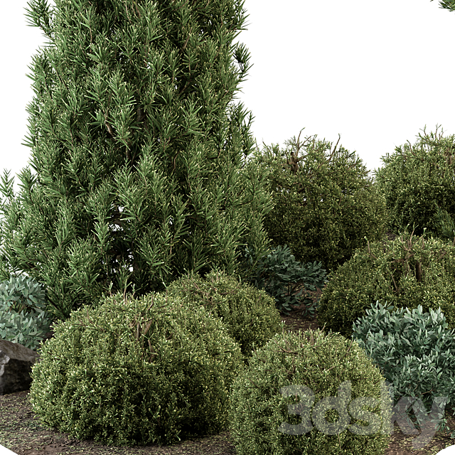 Garden Set Topiary and pine Plants – Outdoor Plants Set 410 3DS Max Model - thumbnail 2