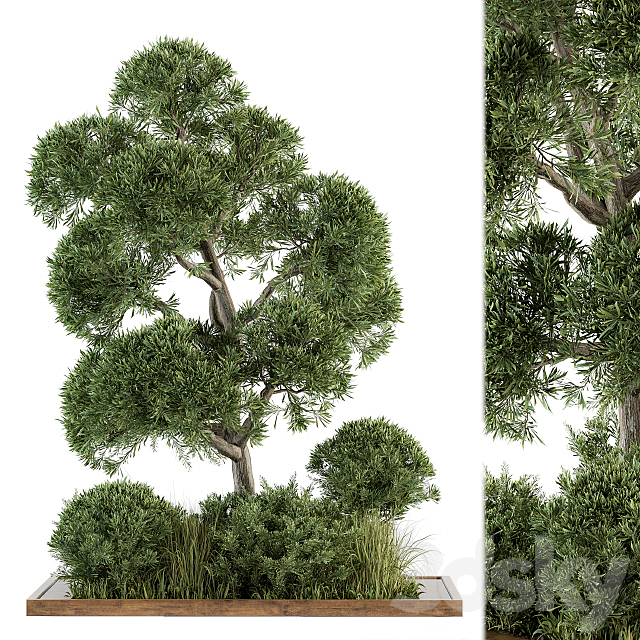 Garden set Tree and Bush – Garden Set 16 3DSMax File - thumbnail 1