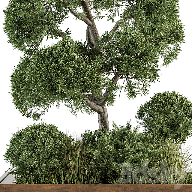 Garden set Tree and Bush – Garden Set 16 3DSMax File - thumbnail 4