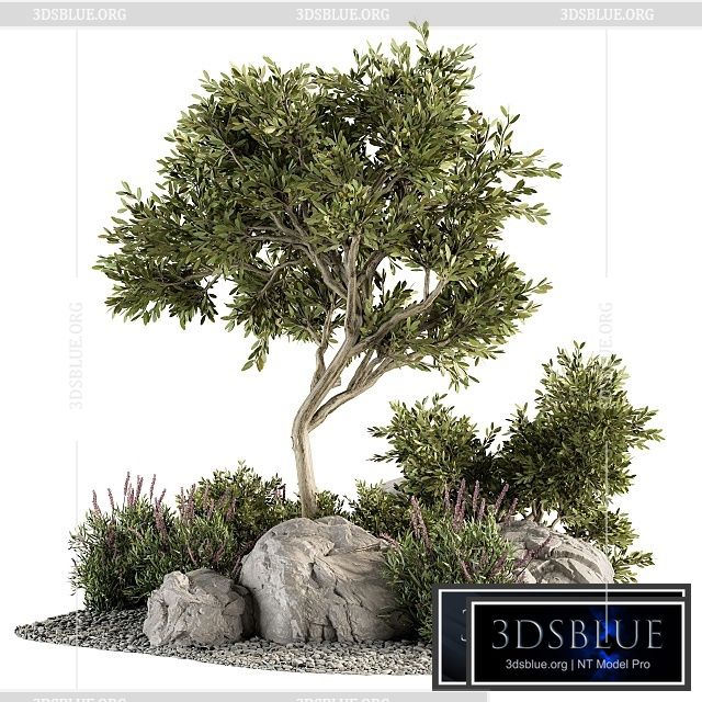 Garden set Tree and Bush – Garden Set 18 3DS Max - thumbnail 3