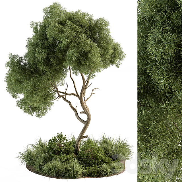 Garden Set Tree and Plants – Outdoor Plants Set 399 3DSMax File - thumbnail 1