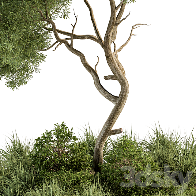 Garden Set Tree and Plants – Outdoor Plants Set 399 3DSMax File - thumbnail 2