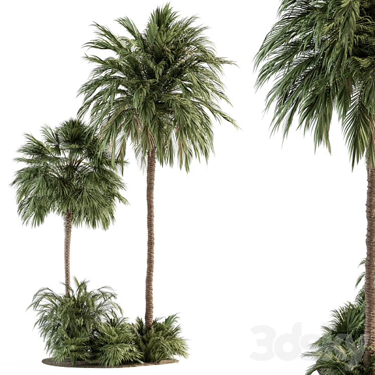 Garden set Tropical Plants – Garden Set 28 3DS Max Model - thumbnail 1