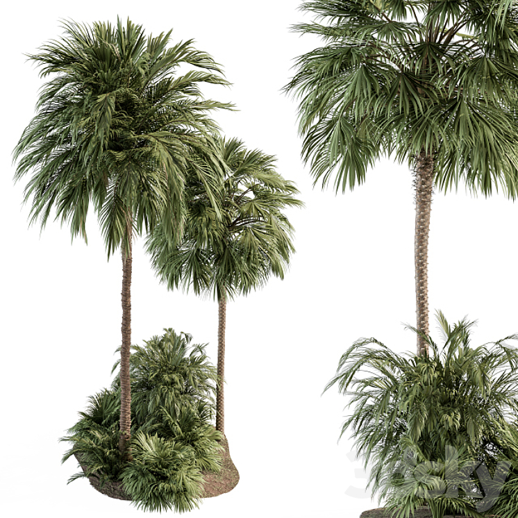 Garden set Tropical Plants – Garden Set 28 3DS Max Model - thumbnail 2