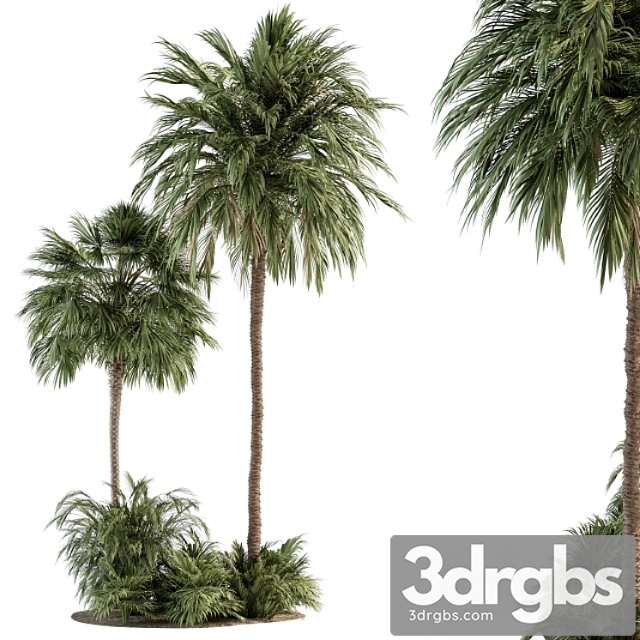 Garden set tropical plants – garden set 28 - thumbnail 1