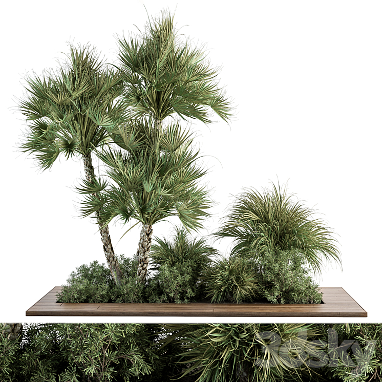 Garden Set Tropical Plants – Outdoor Plants Set 369 3DS Max Model - thumbnail 3