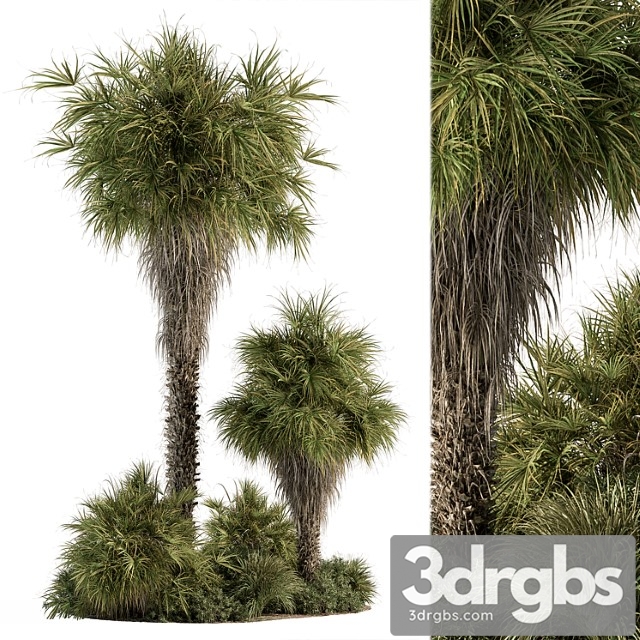 Garden set tropical plants tall palm tree – outdoor plants set 428 - thumbnail 1