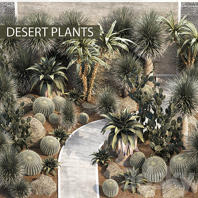 Garden with desert plants cacti Yucca and Bromeliad Dracaena and Opuntia garden cactus. Plant collection 1214 3ds Max - thumbnail 1