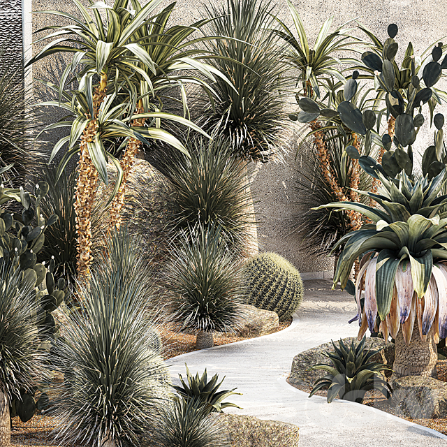 Garden with desert plants cacti Yucca and Bromeliad Dracaena and Opuntia garden cactus. Plant collection 1214 3ds Max - thumbnail 2