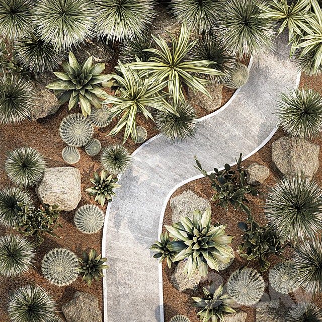 Garden with desert plants cacti Yucca and Bromeliad Dracaena and Opuntia garden cactus. Plant collection 1214 3ds Max - thumbnail 3