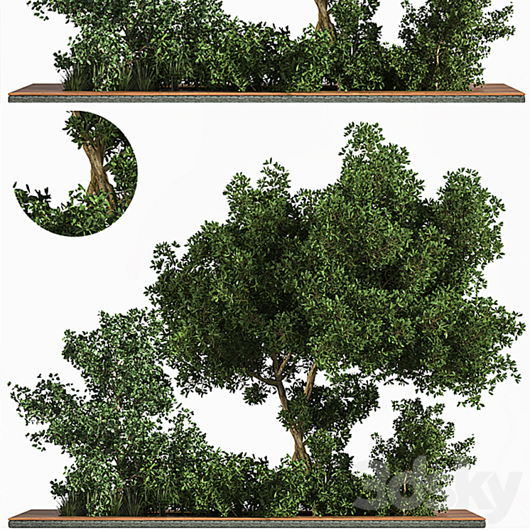 Garden_set_Grass _ & _ Tree 3DS Max Model - thumbnail 1