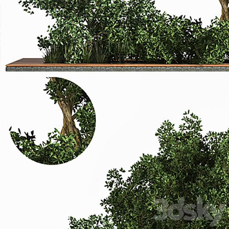Garden_set_Grass _ & _ Tree 3DS Max Model - thumbnail 2