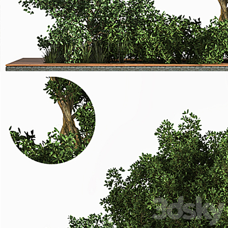 Garden_set_Grass _ & _ Tree 3DS Max - thumbnail 2