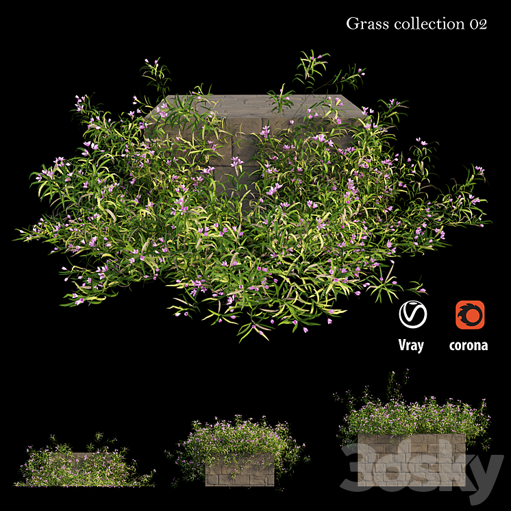 Grass collection 02 3DS Max - thumbnail 1