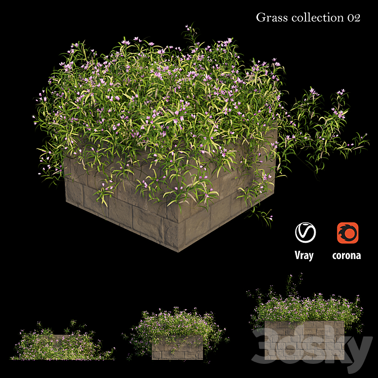 Grass collection 02 3DS Max - thumbnail 2