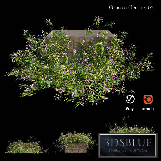 Grass collection 02 3DS Max - thumbnail 3