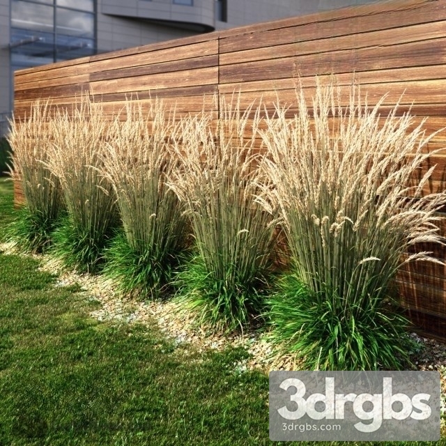 Grass Dry HI 3dsmax Download - thumbnail 1