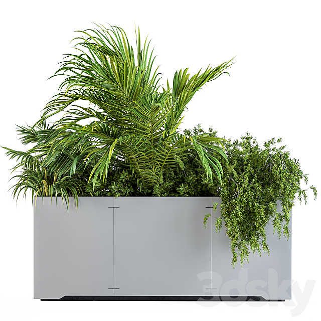 Gray Plants Box with Tropical plant 3ds Max - thumbnail 1