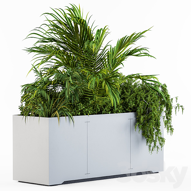 Gray Plants Box with Tropical plant 3ds Max - thumbnail 2