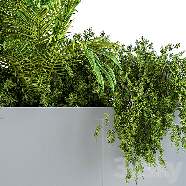 Gray Plants Box with Tropical plant 3ds Max - thumbnail 3