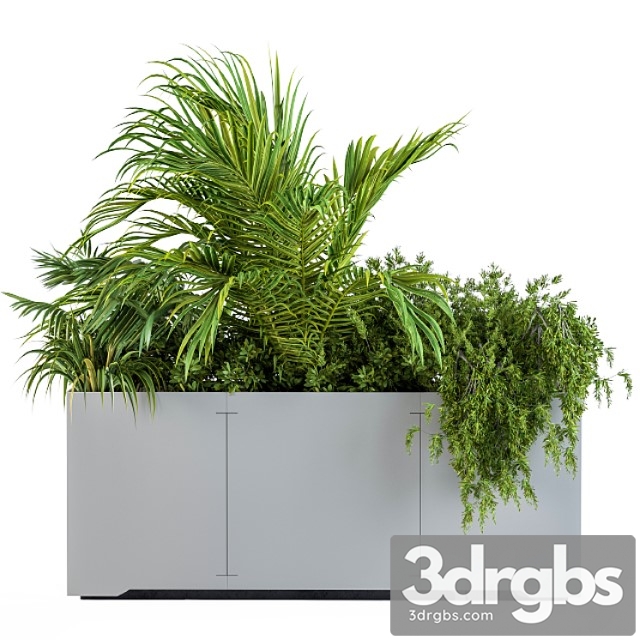 Gray Plants Box With Tropical Plant 3dsmax Download - thumbnail 1