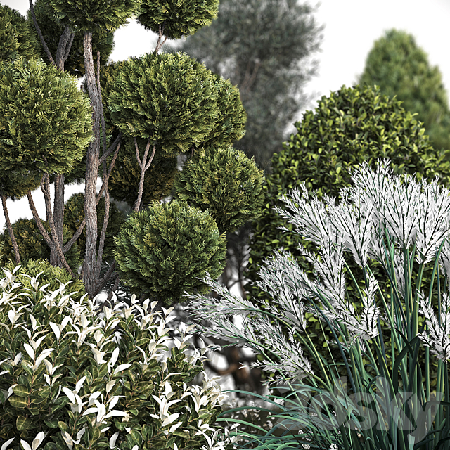 Group outdoor plants & Hedges 2 3ds Max - thumbnail 2