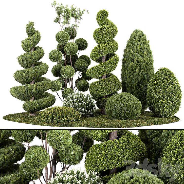 Group outdoor plants & Hedges 3DS Max - thumbnail 1