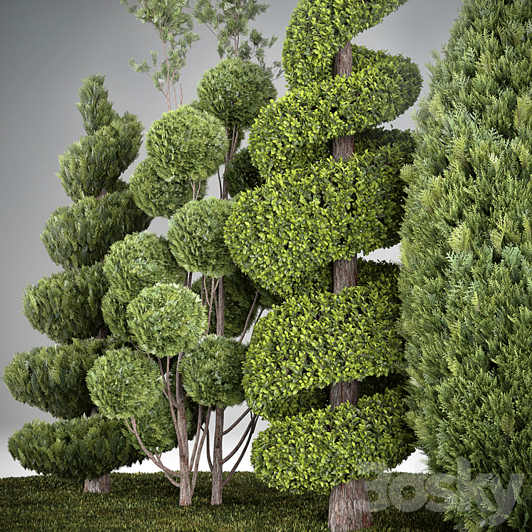 Group outdoor plants & Hedges 3DS Max - thumbnail 2