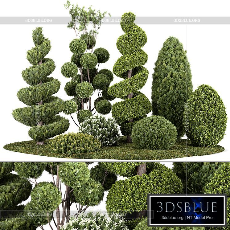 Group outdoor plants & Hedges 3DS Max - thumbnail 3