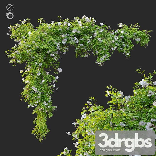 Hanging Plant 12 3dsmax Download - thumbnail 1