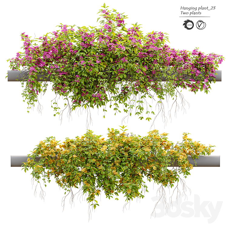 Hanging Plant 23 3DS Max - thumbnail 1