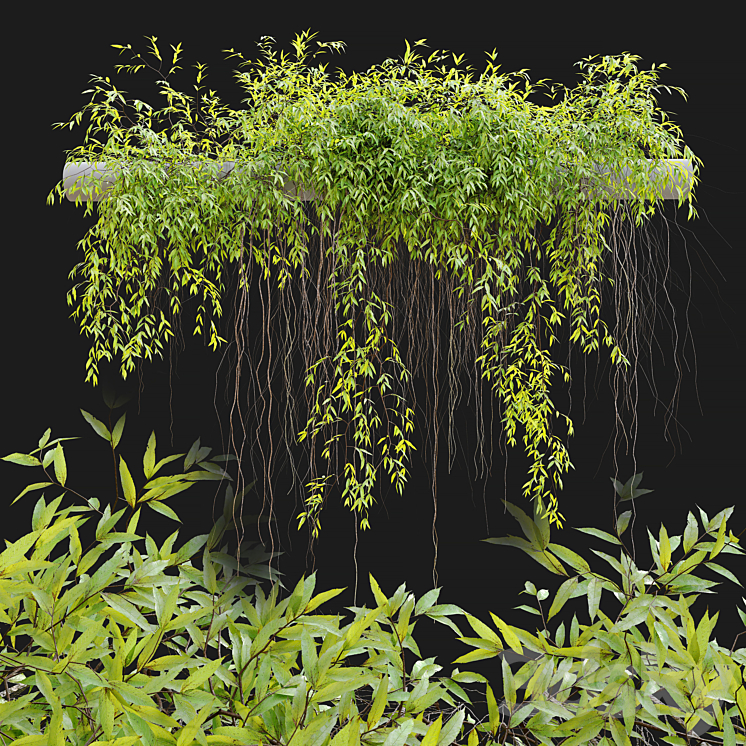 Hanging Plant 25 3DS Max Model - thumbnail 1